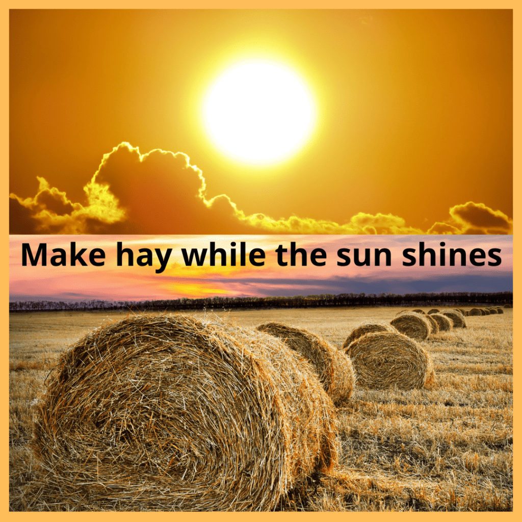 essay writing on make hay when the sun shine