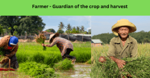 Read more about the article <strong>Farmer – <a>Guardian of the crop and harvest</a></strong>
